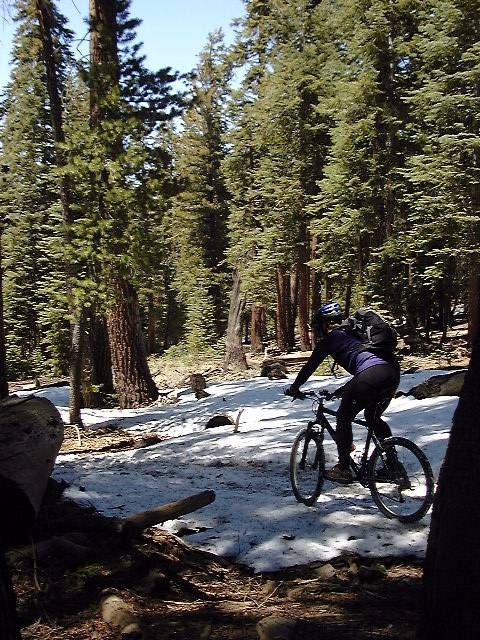 Spring snow on Little Horse Trail near Osa Meadow, May, 2004