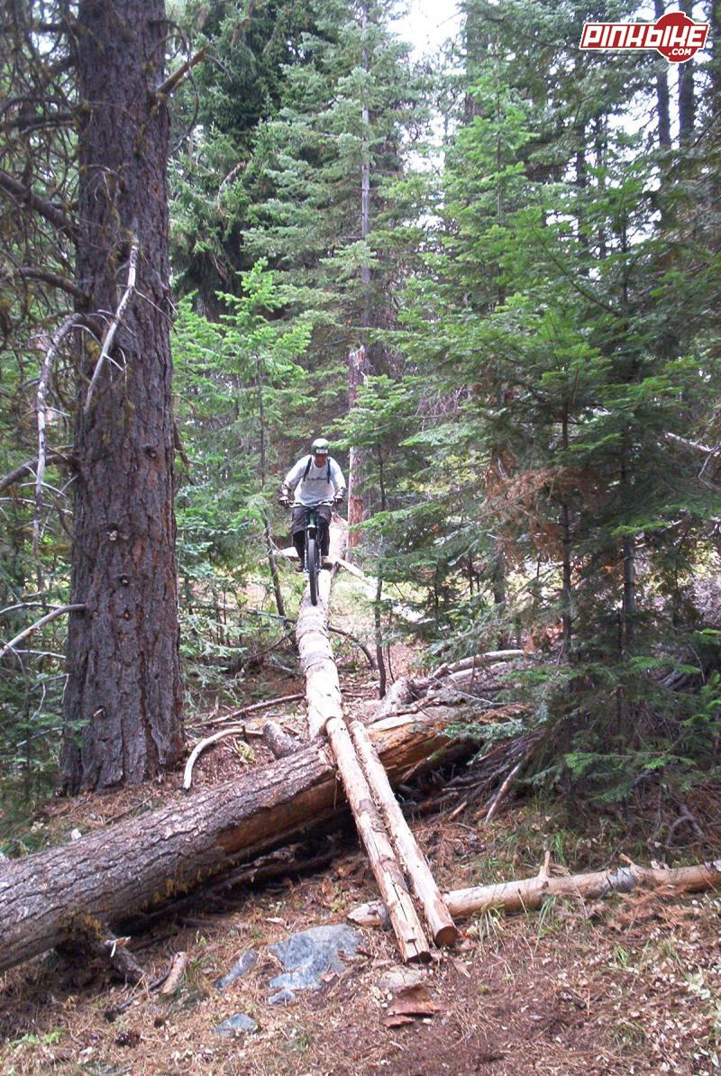 Log ride at the begining of trail