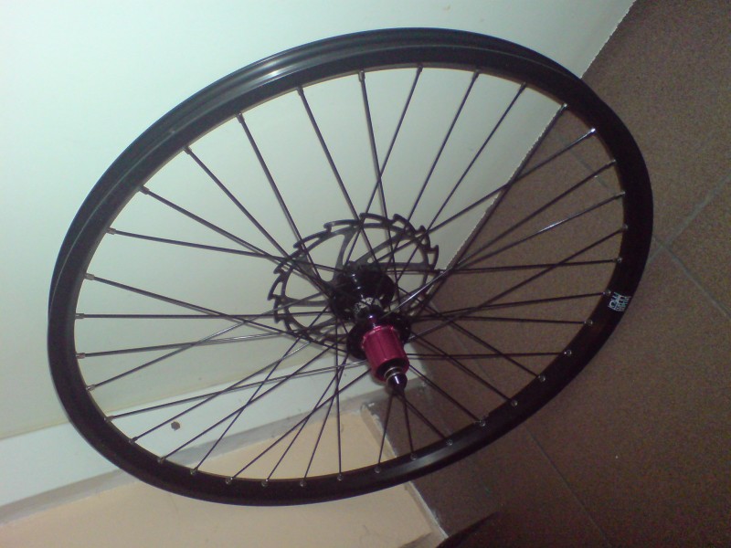 Wheelset of my dreams, i got it at last :-). Alexrims Supra BH+ DT Champion Black+ NS coaster pro+ accent blade disc. Very durable and superlite. :-)