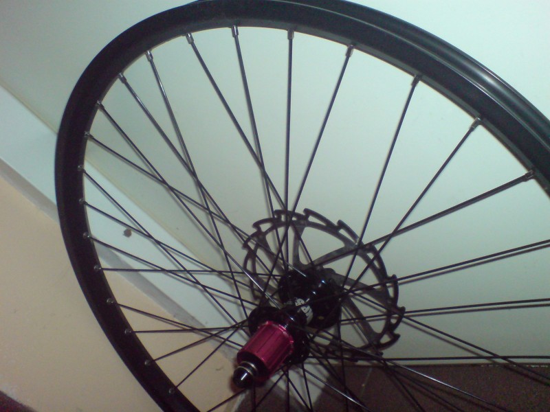 Wheelset of my dreams, i got it at last :-). Alexrims Supra BH+ DT Champion Black+ NS coaster pro+ accent blade disc.