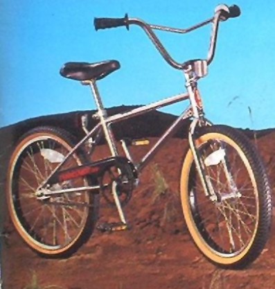 First bike ever. of course I took those reflectors and chain cover off and got some cooler looking pedals and grips.
