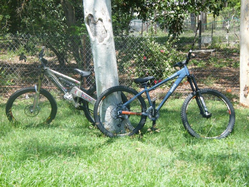 My norco sasquatch and orange 222 leaning up against a tree