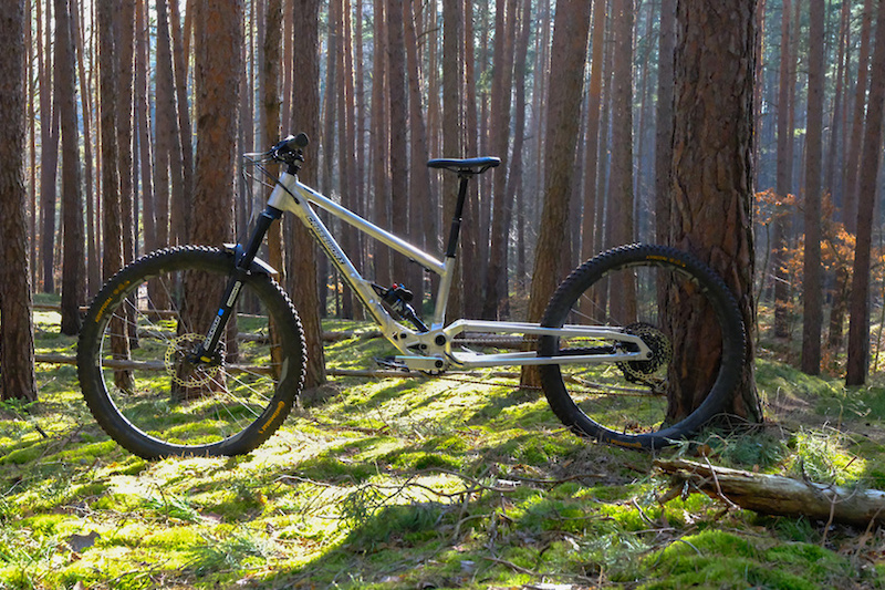 Elan Puzzle TBT (2014)