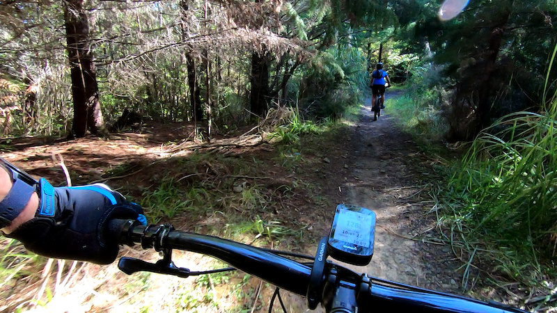 Riverhead Ice Rink Ice Rink Multi Trail - Riverhead | Trailforks