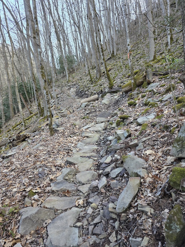 Monday Lick Trail System