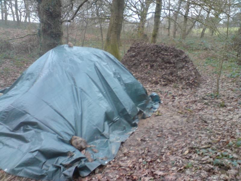 8th jump, not done much yet, need to be built up alot, takeoff to be about 6ft high.