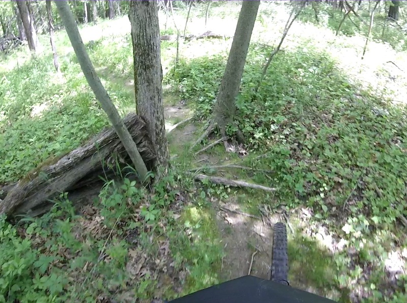 First-person mountain bike view descending through dense forest with fallen logs and rooty terrain.