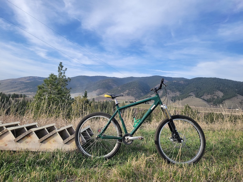 2006 Classic Santa Cruz Chameleon custom green XL For Sale