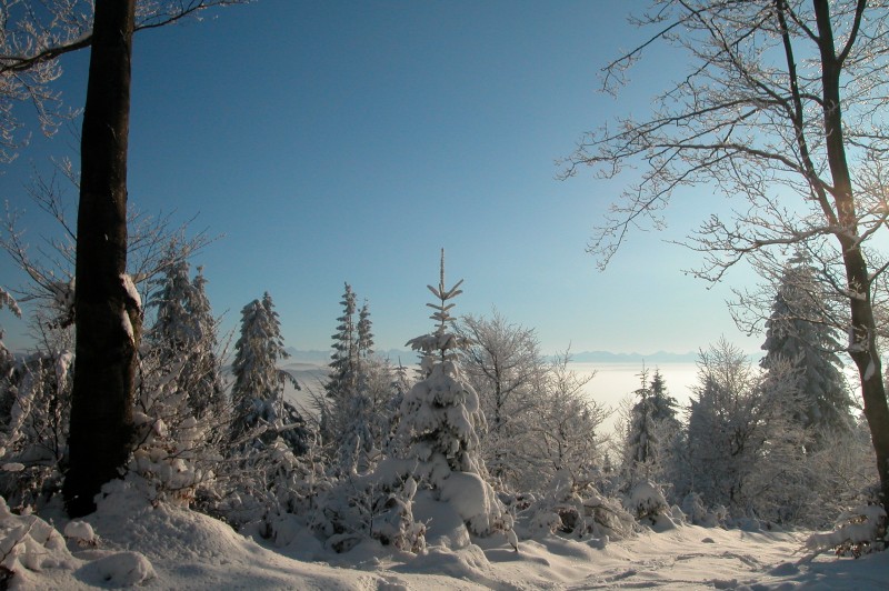 Beskidy Mountains in winter
