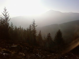 taken on my phone :|