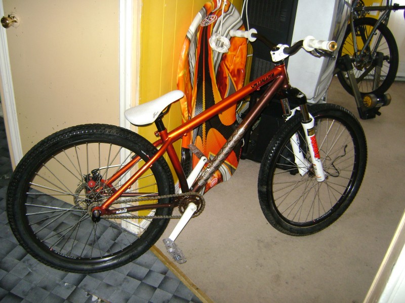regalito de navidad...specialized p1 2009 and animal pedals and grips..
