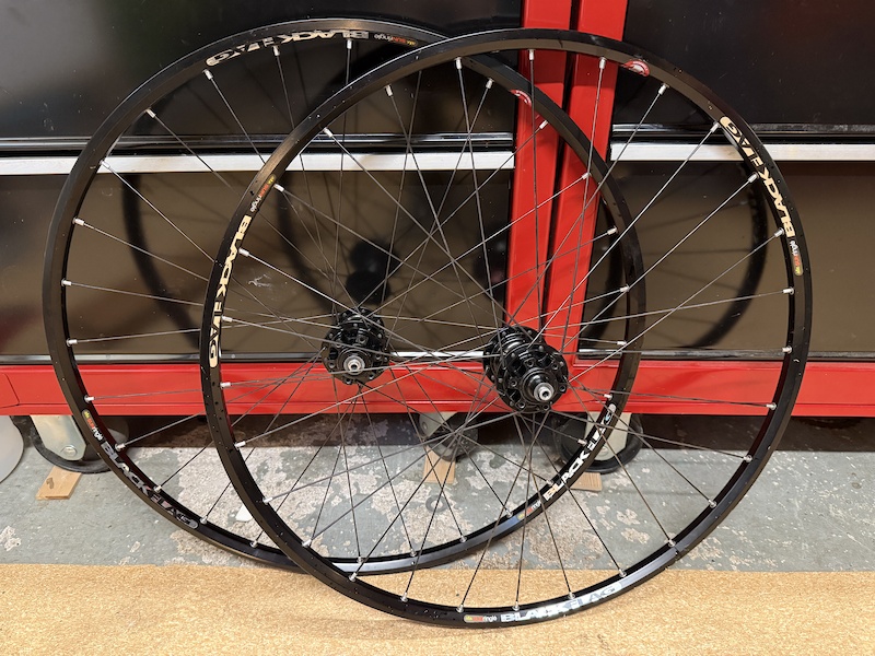 【新品未使用】SUNRINGLE BLACK FLAG PRO 18c 24H 新品未使用】SUNRINGLE BLACK FLAG PRO 18c 24H 【公式通販】