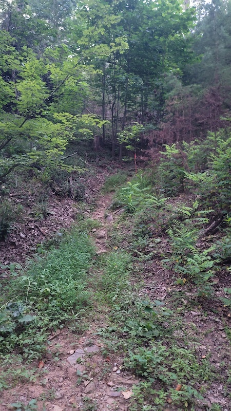 The Chute Multi Trail - Berry College, Rome, Georgia