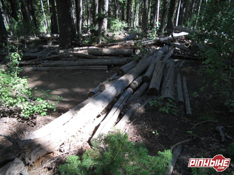 obstacle in thievs forest.