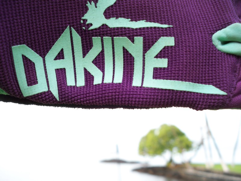 Dakine '09 Covert Gloves