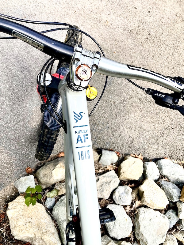 2024 Ibis Ripley AF XL Protein shake For Sale