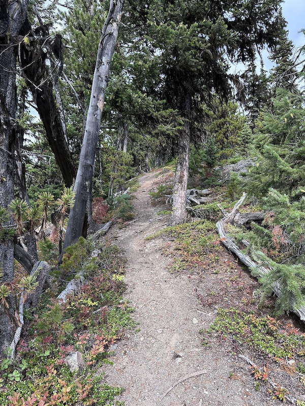 Seton Ridge Trail Sep 30, 2025 Seton Ridge Trail Report | Trailforks
