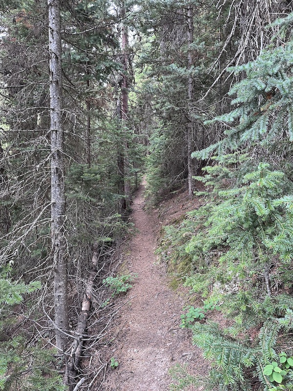 Seton Ridge Trail Sep 30, 2025 Seton Ridge Trail Report | Trailforks