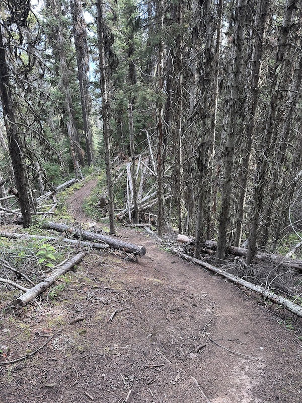 Seton Ridge Trail Sep 30, 2025 Seton Ridge Trail Report | Trailforks
