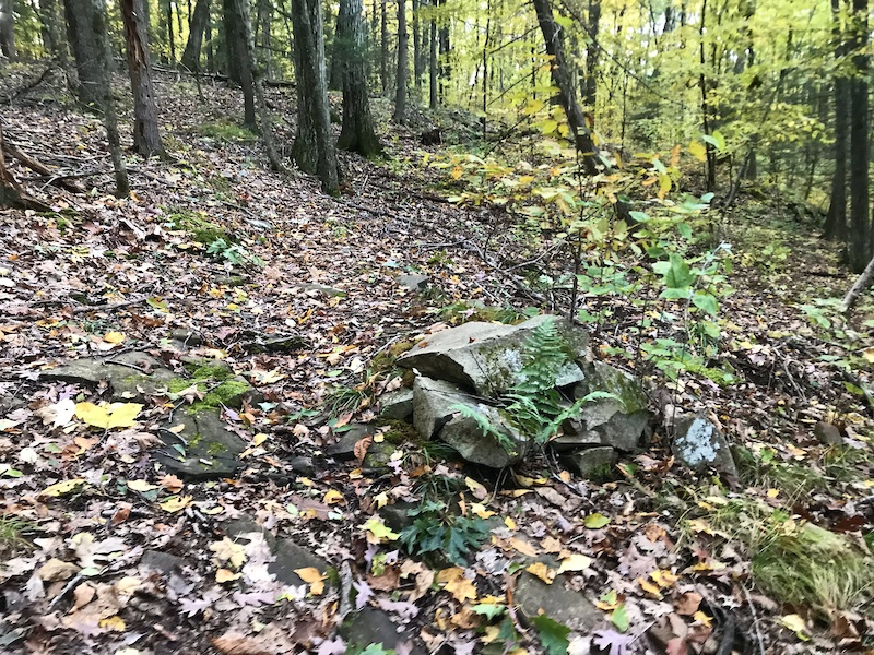 Abandoned Factory Multi Trail - West Hartford, CT