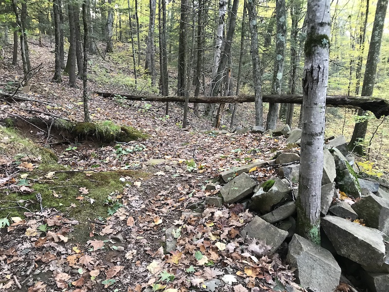 Abandoned Factory Multi Trail - West Hartford, CT