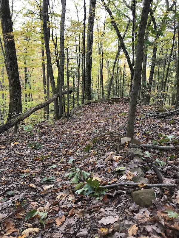 Abandoned Factory Multi Trail - West Hartford, CT