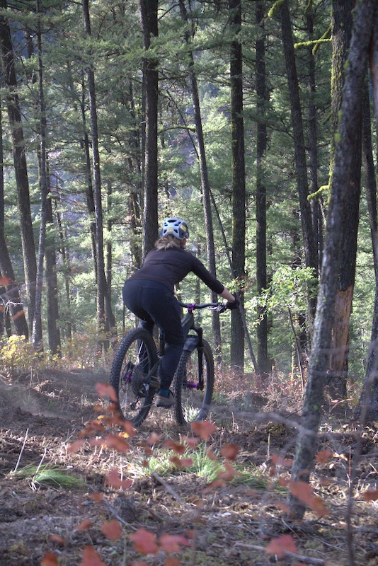 Marshall Arts Mountain Biking Trail - Missoula, Montana