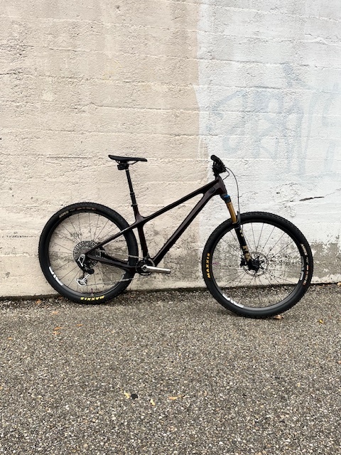 2025 Yeti Cycles ARC Custom Build For Sale