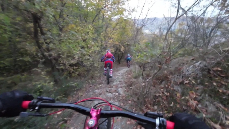 Covid Trail Mountain Biking Trail - | Trailforks