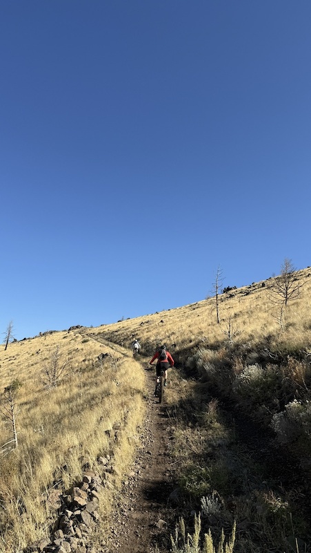 Barney Riley Trail Mountain Biking Trail - South Lake Tahoe