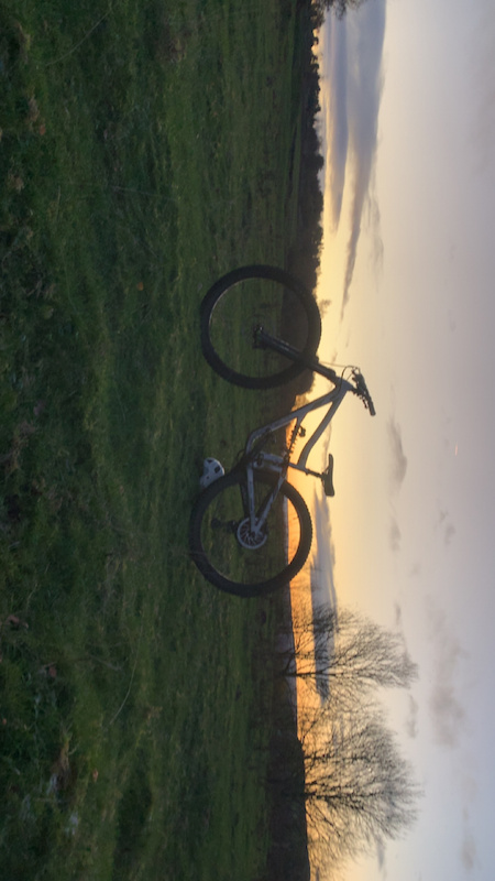 2022 Ibis ritmo af size medium. For Sale