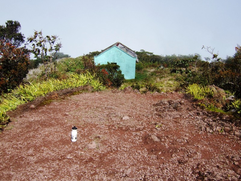 TOP OF THE HILL
7,402'
TALLEST PEAK IN JAMAICA