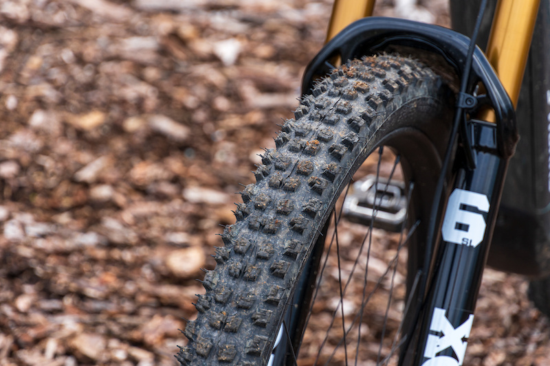 Specialized Purgatory / Trail Control Tire Review: A Pleasant Surprise