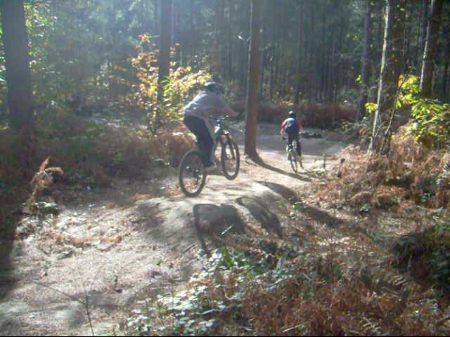 last seconds of the downhill course at bedgebury.