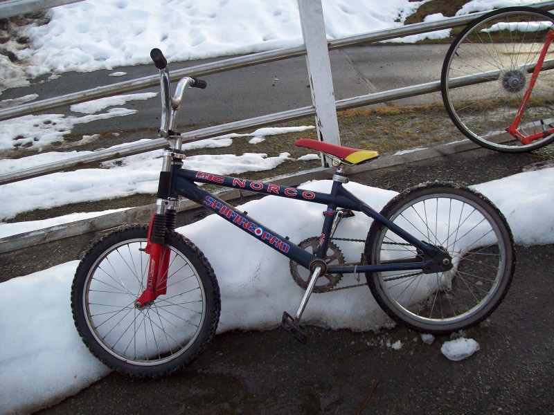 bmx with duel crown forks