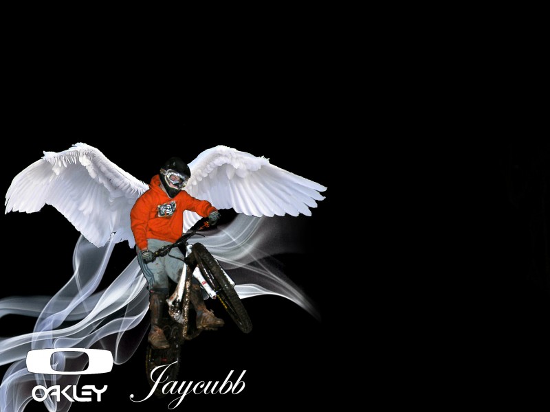 my edit... with wings and stufff :P