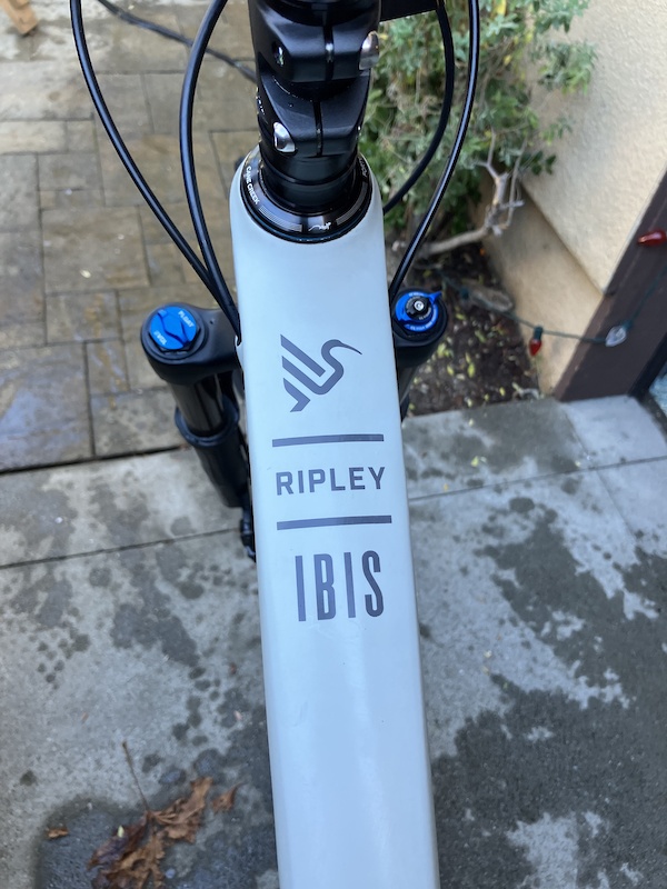 2024 Ripley V4S For Sale