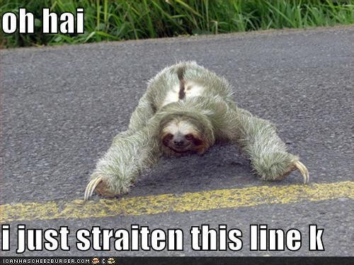 precise sloth
