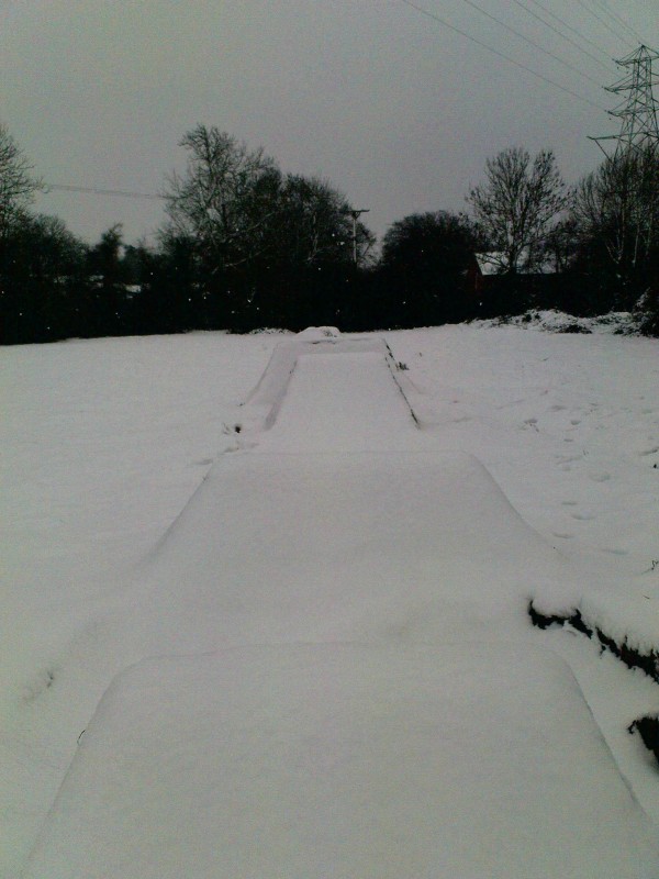 are trails in the snow