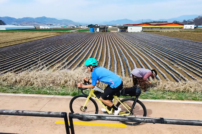 Video: Matthew Fairbrother's Fastest Known Time Attempt Across the Length of South Korea