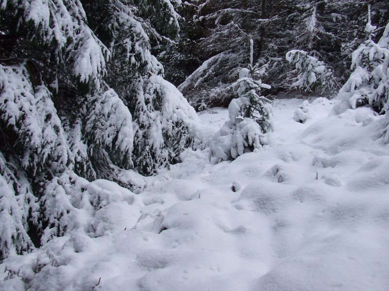 a hell of alot of snow!