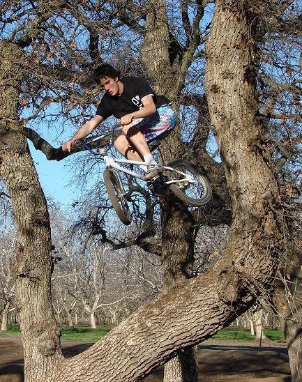 The Kman jumping over a tree. RAD!