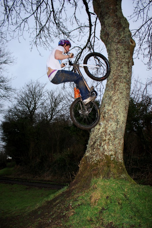 Going massive up the tree to fakie!