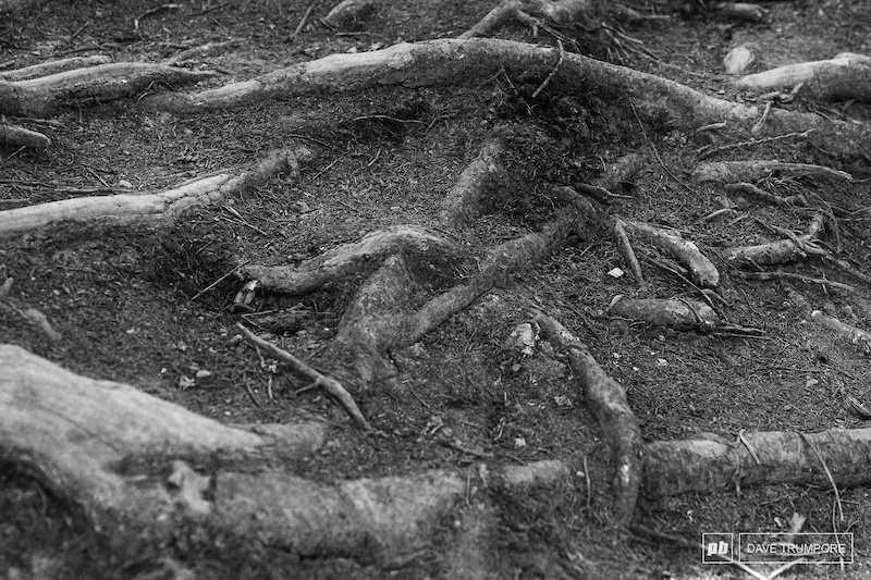 Please Don't Dumb Down the Trails - pinkbike.com