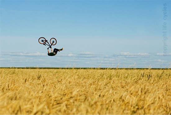 Cam McMaul Flip whip on jumps hidden beneath the wheat grass. Filming for Lifecyclesfilm.com, photo: frankowski
