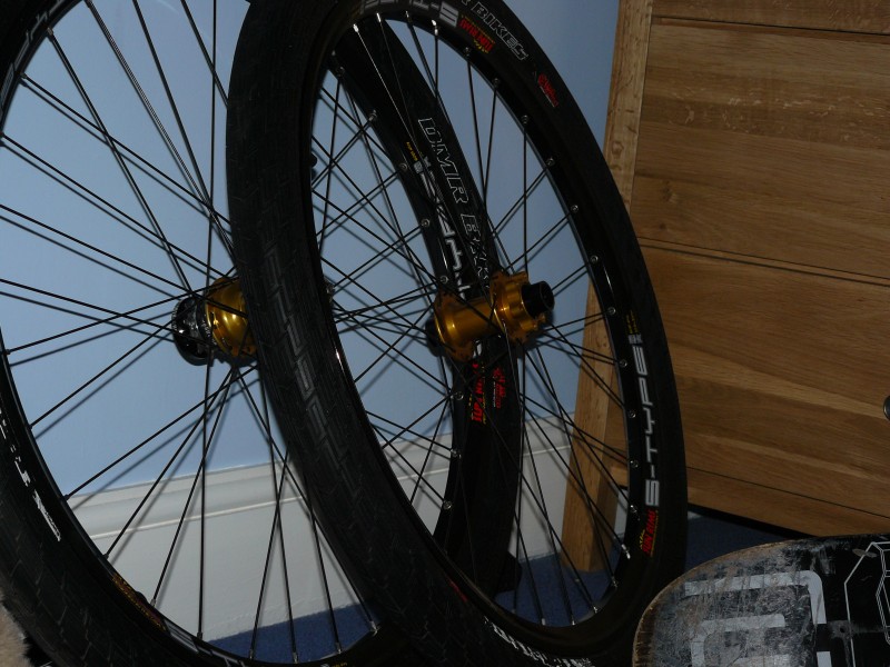 Sunn S-Type Rims on Gold Pro 2 Hubs with Black DT DB spokes