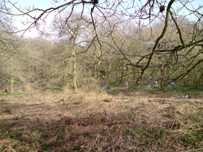 Pics from today, can just make out the hip and the 8th and 9th in the trees - 14/03/09