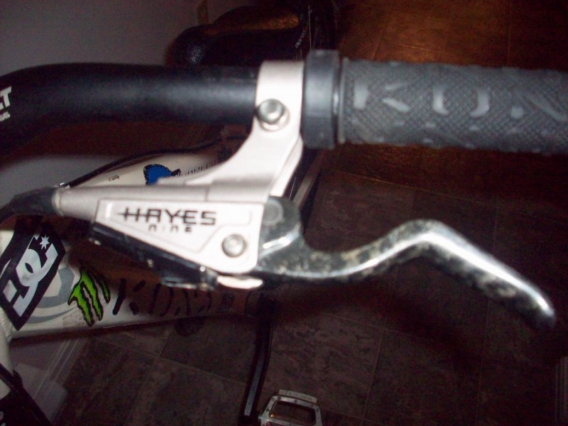 hayes nine carbon