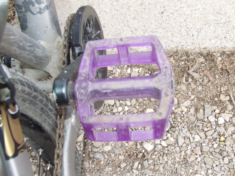 animal plastic pedals on truvativ cranks(looking at getting diety vendettas)