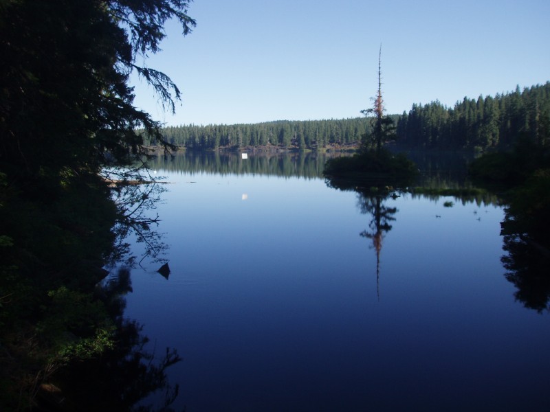 Clear Lake Mountain Biking Trail Eugene, Oregon